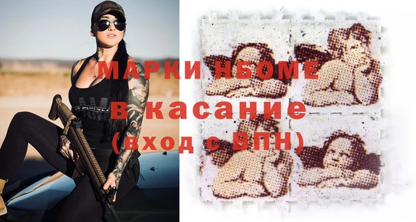 шишки Краснотурьинск