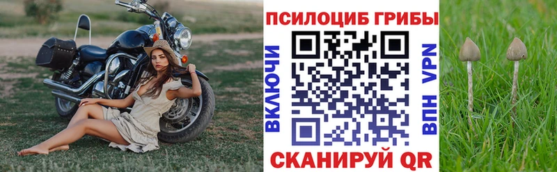 Псилоцибиновые грибы прущие грибы  Купить закладки  Нытва 